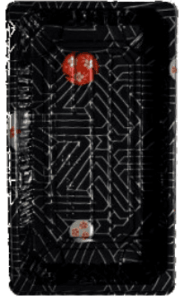 Sushi-Box aus Kunststoff (transparent)